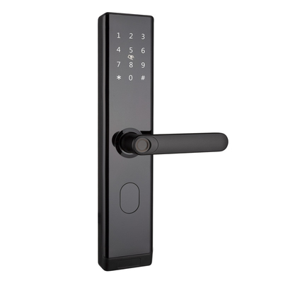와이파이 TTLOCK 스마트 문 잠금 바이오메트릭 지문문 손잡이 디지털 키리스 잠금
