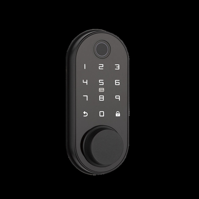FCC 스마트 데드볼트 잠금 문 잠금 손자 표지 코드 카드 APP 와이파이 기능