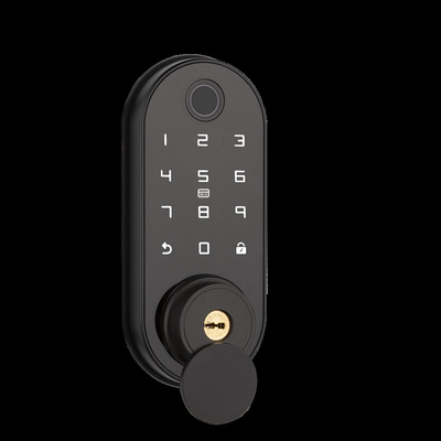 FCC 스마트 데드볼트 잠금 문 잠금 손자 표지 코드 카드 APP 와이파이 기능