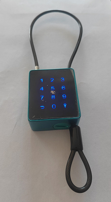 4mm 케이블과 APP 제어로 잠금없이 잠금하고 IP65