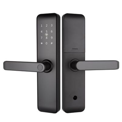 화려한 블루투스 와이파이 RFID 키 없는 스마트 잠금 아파트 집 입구 방 문