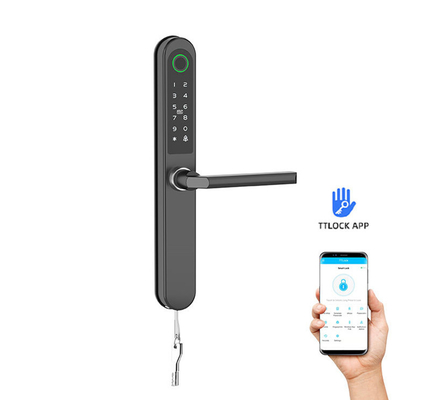 완성된 페인트 RFID 문 잠금 상업용 블루투스 와이파이 특별 카드 / 코드 / 지문 / APP